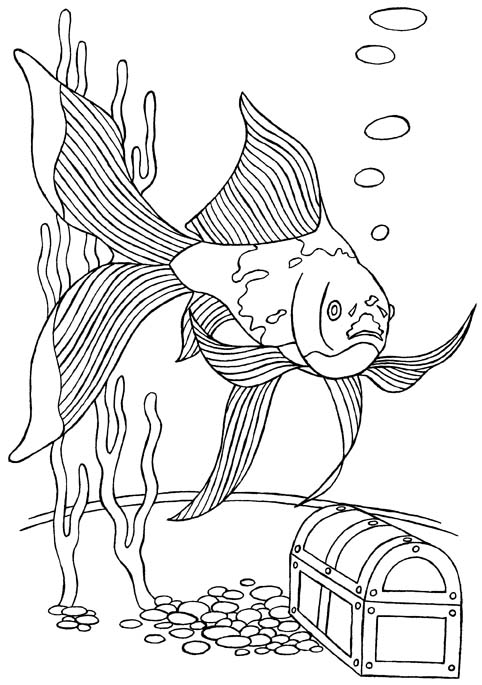colouring picture of a goldfish