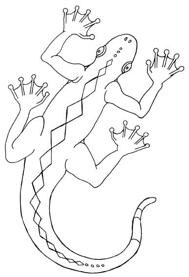 lizard reptile colouring picture
